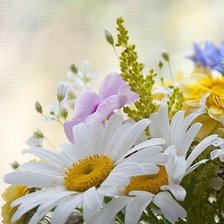 Схема вышивки «букет ромашек»
