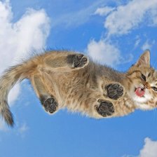 Схема вышивки «котёнок»