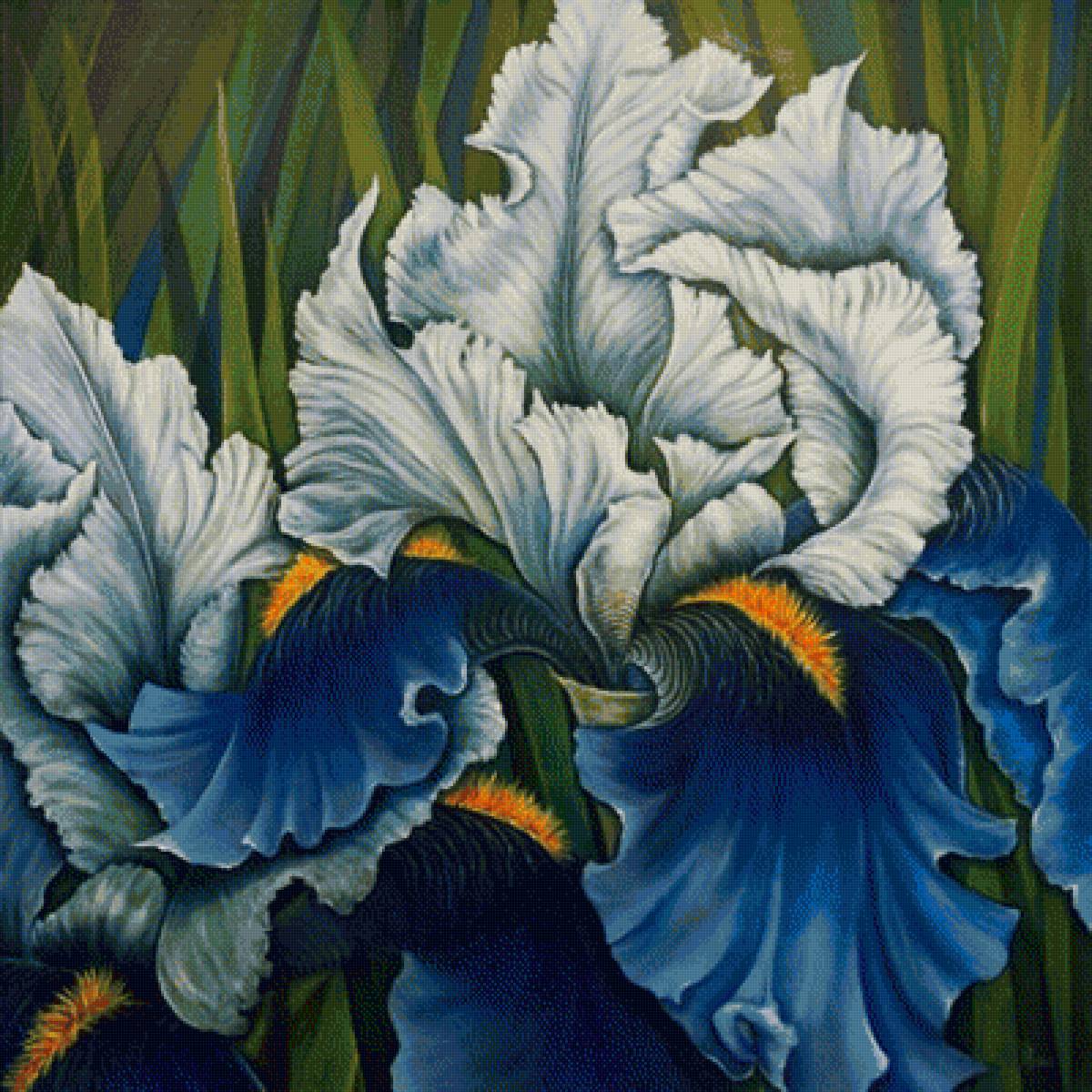 цветы - ирис - предпросмотр