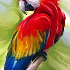 Схема вышивки «papagaj»