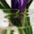 Предпросмотр схемы вышивки «крокусы» (№1304988)