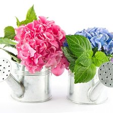 Схема вышивки «гортензии»