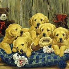 Схема вышивки «Золотистое счастье»