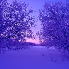 Схема вышивки «зимняя сказка»