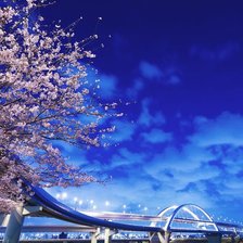 Схема вышивки «в гармонии с природой»