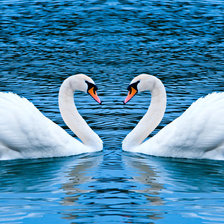 идеальная пара