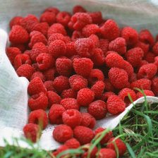 Схема вышивки «лето»