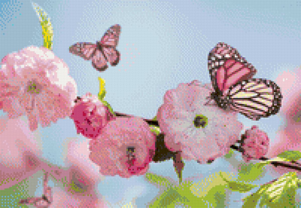 Бабочка - бабочка, насекомые - предпросмотр