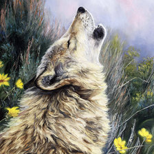 Схема вышивки «волк»