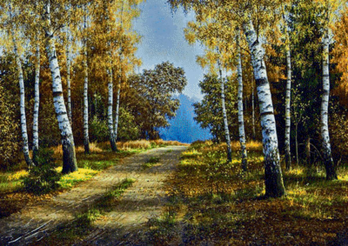 пейзаж - природа, березы, пейзаж, лес - предпросмотр