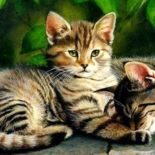 Схема вышивки «Котята»