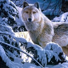 Схема вышивки «волк»