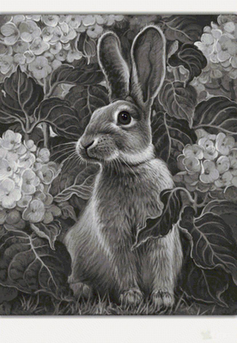 №1306694 - предпросмотр