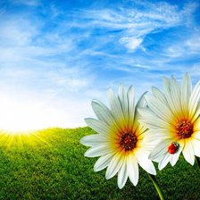 Схема вышивки «Quynh»