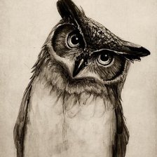 Схема вышивки «№1307042»