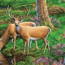 Схема вышивки «мир животных»