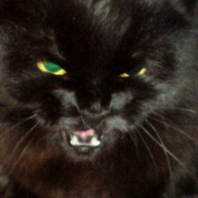 Схема вышивки «ярость»