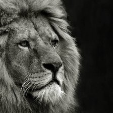 царь природы