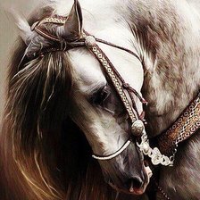 Схема вышивки «коняшка-няшка»