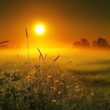 Схема вышивки «закат в поле»