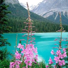 Схема вышивки «№1308198»