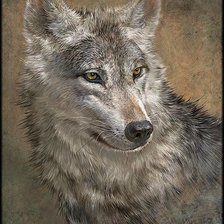 Схема вышивки «№1308213»