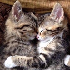 Схема вышивки «love»