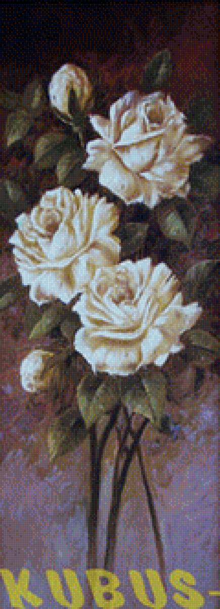 белые розы - предпросмотр