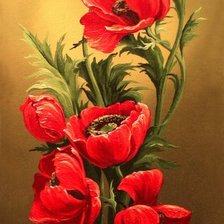 Маки в вазе