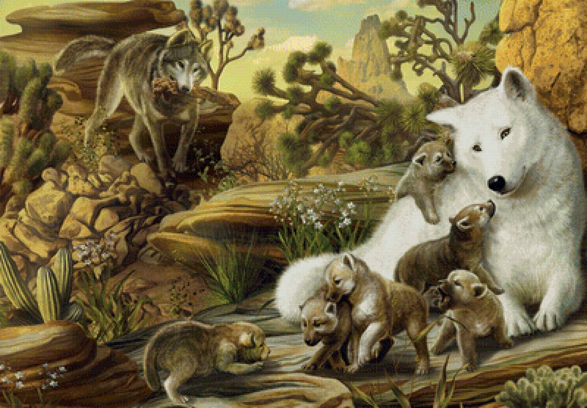 семья - волки, звери, природа, животные, стая - предпросмотр