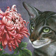 Схема вышивки «Котик»