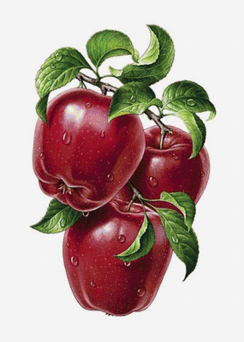 381 - предпросмотр