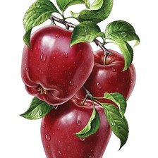 Схема вышивки «381»