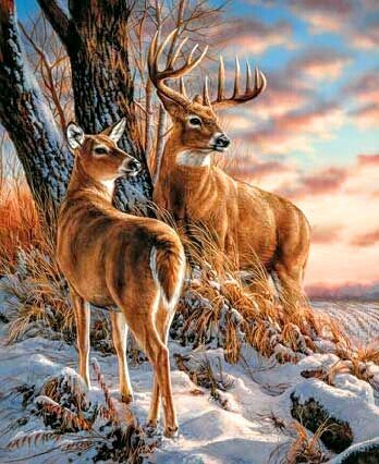 олени - оригинал