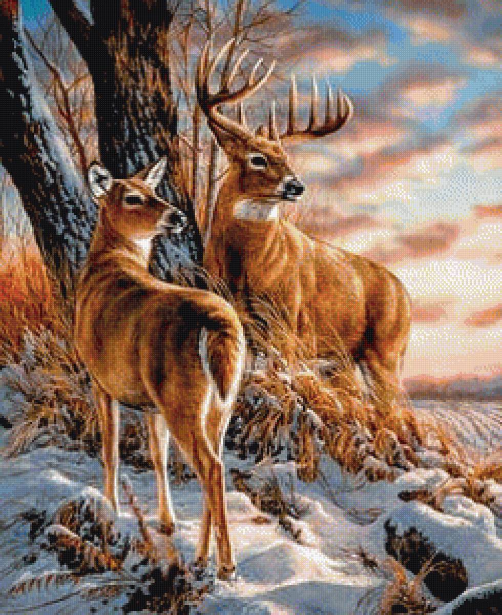 олени - предпросмотр