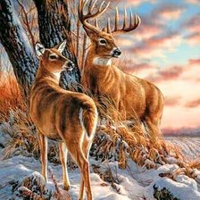 Схема вышивки «олени»