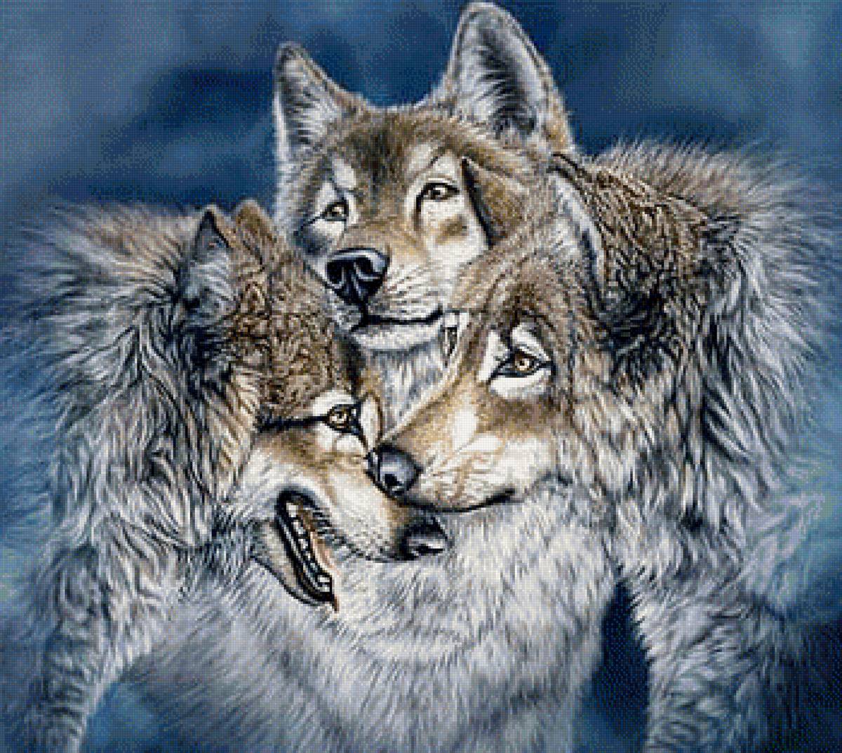 волки - волк. хищник. животное - предпросмотр