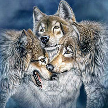 Схема вышивки «волки»