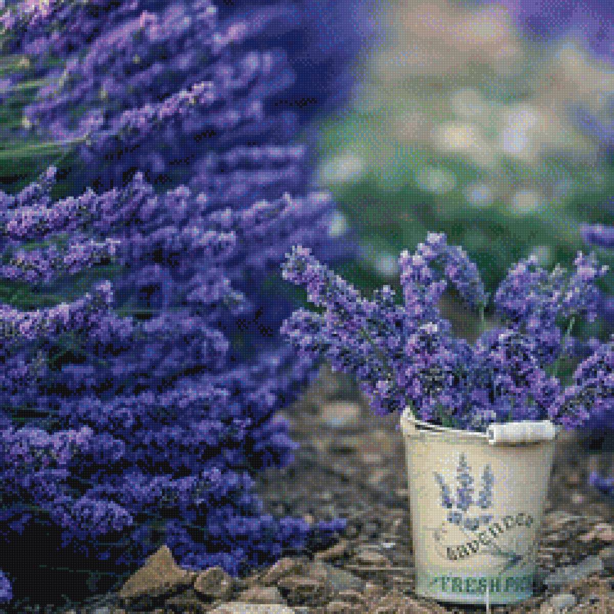 Лаванда - цветы - предпросмотр