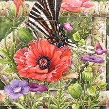 Схема вышивки «Бабочка с маком»