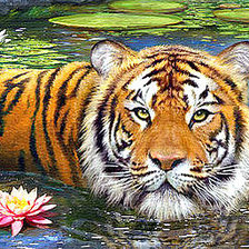 Схема вышивки «№1309903»