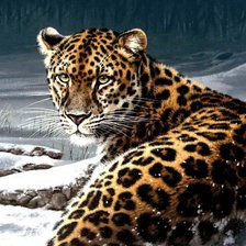 Схема вышивки «леопард»