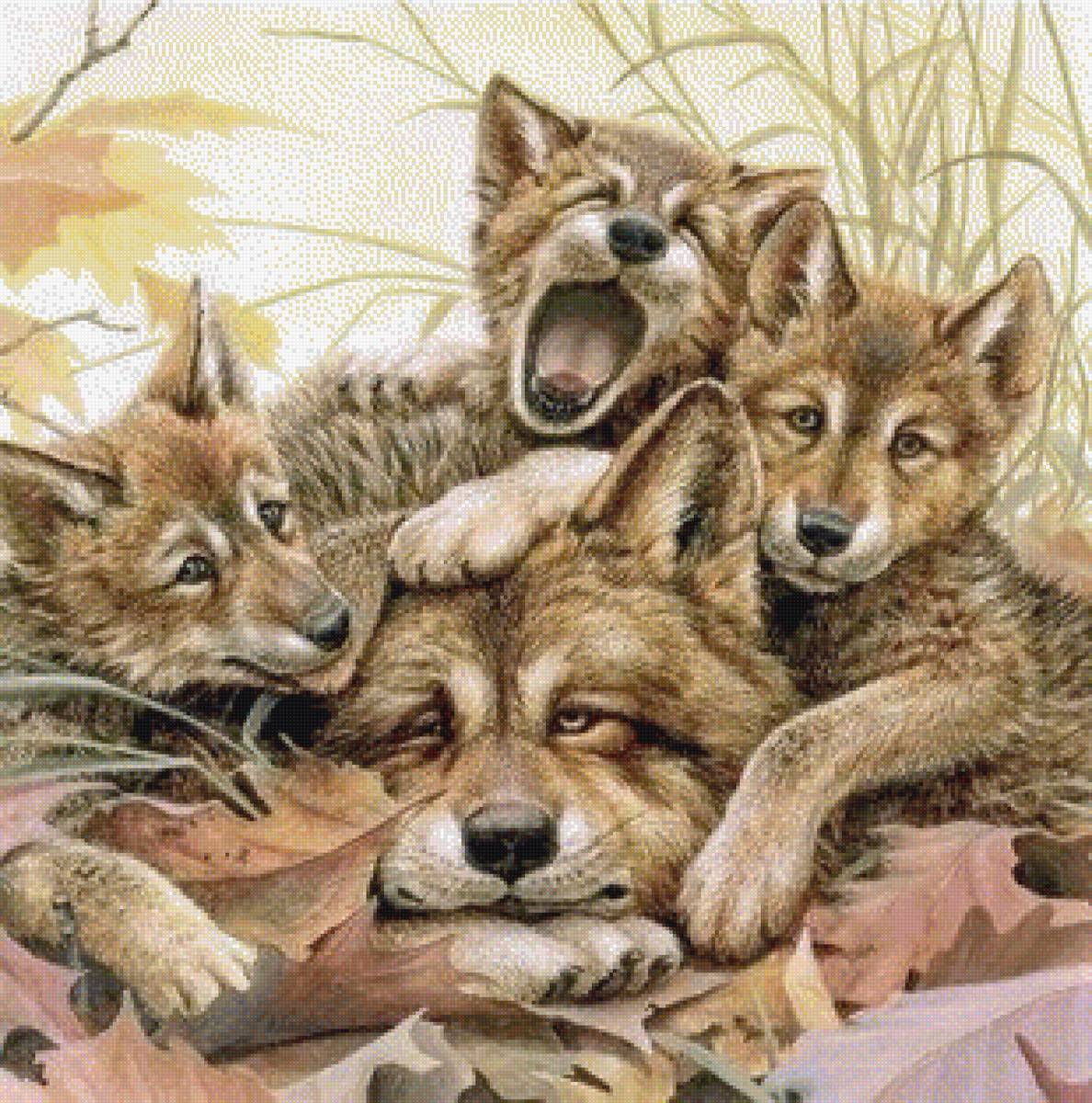 волчата - предпросмотр