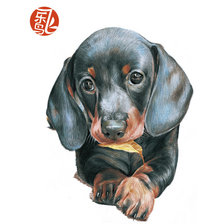 Схема вышивки «№1310529»