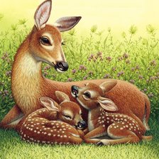 Схема вышивки «мир животных»