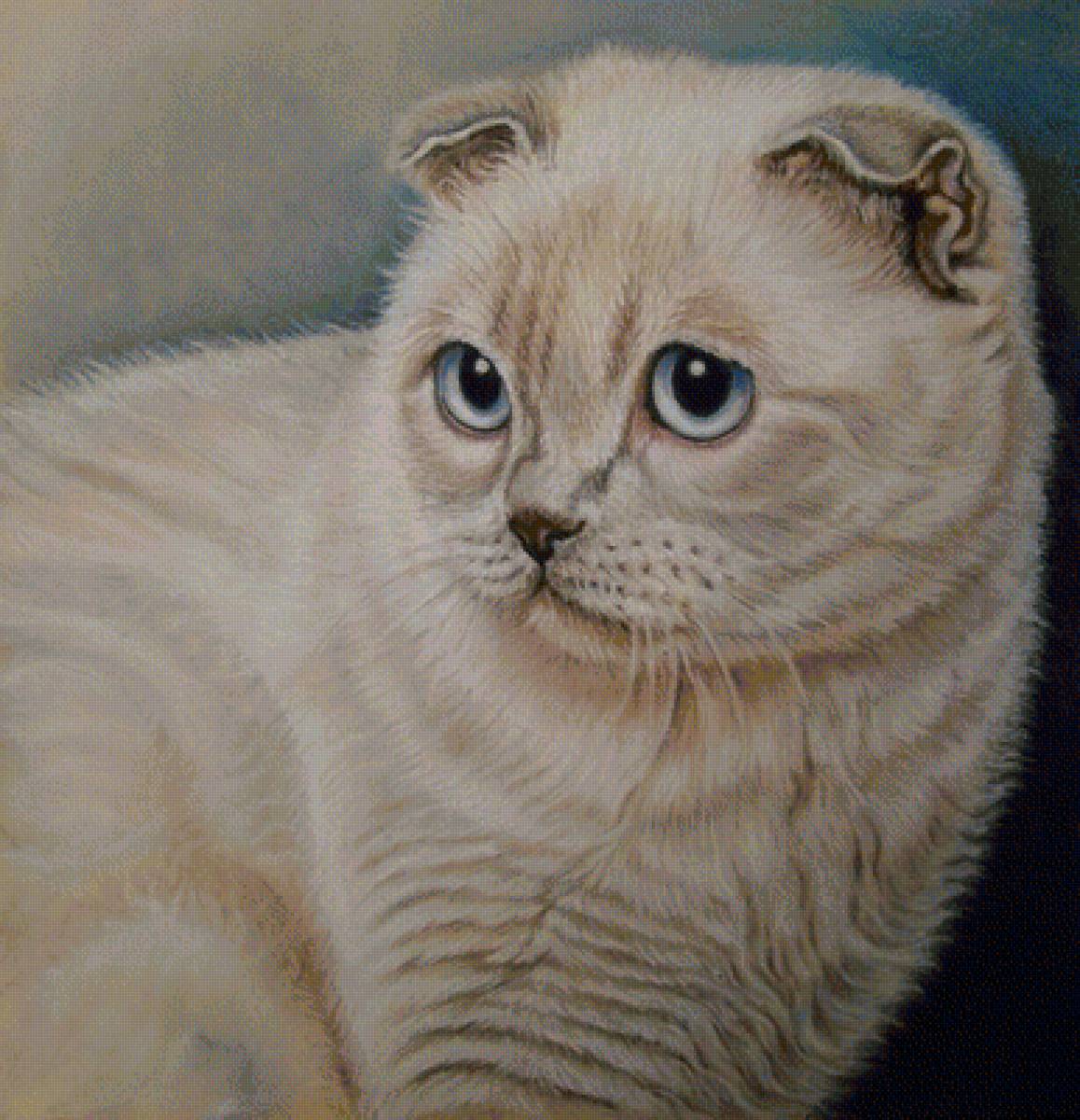 Кошечка - животные - предпросмотр