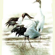 Схема вышивки «№1310862»