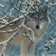 Схема вышивки «№1311210»