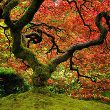 Схема вышивки «фантазия»