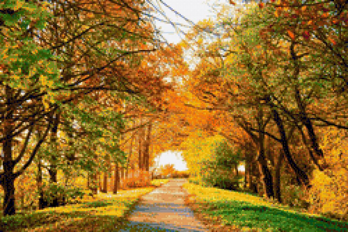 золотая осень - природа, деревья, парк - предпросмотр